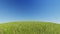 Realistic grassy hill on a background of pure blue sky 3D rendering