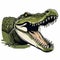 Realistic Green Crocodile Illustration With Lively Facial Expressions
