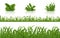 Realistic green grass. 3D fresh spring plants set. Vector isolated illustration bunch herbs on tussock