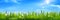 Realistic green grass and blue sunny sky landscape