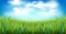 Realistic green grass with clouds on blue sky background. Garden lawn stripe, meadow herbs, field panorama, fisheye