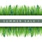 Realistic green grass frame. Fresh lawn and leaves borders, 3d isolated plants strips, botanical decorative summer sale
