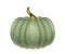 Realistic green pumpkin