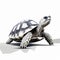 Realistic Grey Tortoise Drawing With Surrealistic Elements