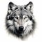 Realistic Grey Wolf Portrait Tattoo Drawing On White Background
