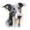 Realistic Greyhound Portrait Illustration On White Background