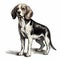 Realistic Grisaille Illustrations Of Beagle Breed Hound