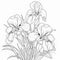 Realistic Grisaille Iris Flowers Coloring Pages