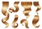 Realistic Hair Curls Set