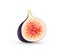 Realistic half cut fig. Fresh slice fig fruit isolated. Sweet summer tropical seasonal fruit