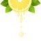 Realistic half lemon slice with leaves and drops of juice. Juicy fruit. Fresh citrus design on white vector illustration