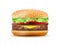 Realistic Hamburger Vector