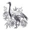 Realistic hand drawing of crane and beautiful peonies isolated o