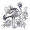 Realistic hand drawing of crowned crane and beautiful peonies is