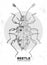 Realistic hand drawing and polygonal Endomychidae beetle. Artistic Bug.
