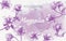 realistic Hand drawn illustration purple magnolia flower with watercolour backgroun