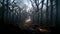 Realistic haunted forest spooky landscape at night. Fantasy Halloween forest background. 3D illustration