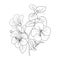 realistic hibiscus flower tattoo outline, hibiscus tattoo stencil, hand drawn hibiscus flower drawings