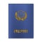 Realistic High detailed Passport mock up. Vector illustration. Blue color.