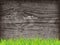 Realistic highly detailed wood background with green grass. Old wooden plank.