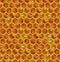 Realistic Honeycomb Illustration. Vector Honey Seamless Pattern