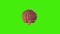 Realistic human brain rotating on green screen. 3d rendering