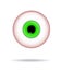 Realistic human eyeball. Eyeball with green iris photo realistic vector.