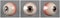 Realistic human eyeballs brown iris pupil