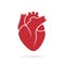 Realistic human heart vector icon