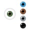 Realistic human pupil of eye collection vector multicolored eyeballs iris pupils optical retina