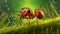 Realistic Hyper-detailed Ants In Nature Wallpaper - 32k Uhd