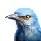 Realistic Hyper-detailed Blue Bird Illustration