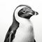 Realistic Hyper-detailed Penguin Portrait Tattoo Drawing