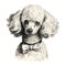 Realistic Hyper-detailed Portrait Of A Poodle In A Bow Tie