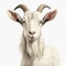 Realistic Hyper-detailed Portrait Of A White Goat With Horns