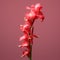 Realistic Hyper-detailed Rendering Of A Gladiolus Flower