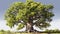 Realistic Hyper-detailed Rendering Of An Old Oak Tree In Uhd