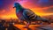 Realistic Hyper-detailed Rendering Of Pigeon Stand By Sunset