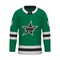 Realistic Ice Hockey shirt of Dallas, jersey template