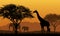 Realistic illustration of African safari with mountain landscape, trees and elephant and giraffe. Under the orange sky with rising