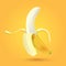 Realistic illustration of banana fruit