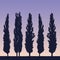 Realistic illustration of a landscape and row of poplars like a