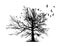 Realistic illustration with silhouettes of three birds - crows or ravens sitting on tree branch without leaves and