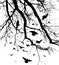 Realistic illustration with silhouettes of three birds - crows or ravens sitting on tree branch without leaves and