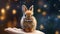 Realistic Impressionism: Tiny Brown Bunny In Fairy Tale Illustration