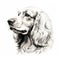 Realistic Ink Illustration Of A Cocker Spaniel In Dark White And Light Gold