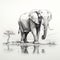Realistic Ink-wash Elephant Illustration By Water