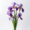 Realistic Iris Commercial Photography On White Table In High Detail