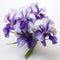 Realistic Iris Flower Still Life On White Background