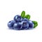 Realistic isolated ripe blueberry bountiful pile